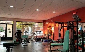 ÚNICO gimnasio
