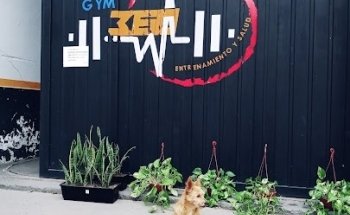 GYM 360 Entrenamiento y Salud