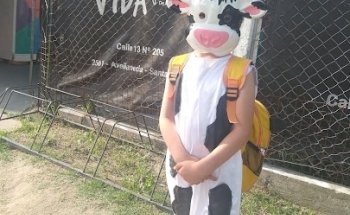 Vida Fitnes De Anto Cabral