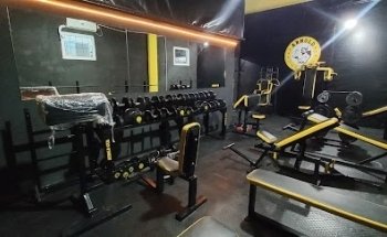 Arnold Gym