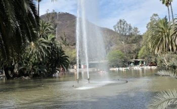 Entrenaamiento Personalizado