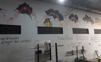 Fenix Gym