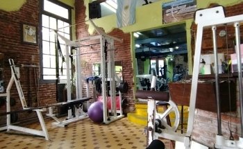 Zoo Gimnasio