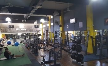 Gimnasio Flex