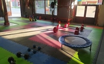 Fénix centro de entrenamiento