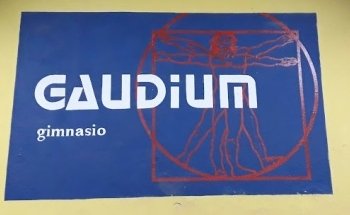 GAUDIUM GIMNASIO