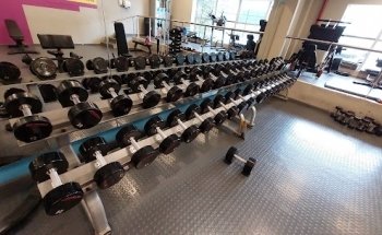 Fiter Palermo Hollywood