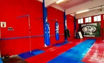 Clases de Kick Boxing