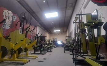 Next Level Gym