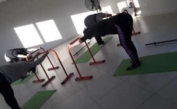 Gimnasio 8 +