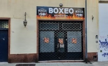 BOXEO QUAGLIATEAM