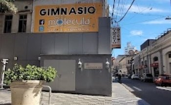 Gimnasio Molécula Sirio Libanes