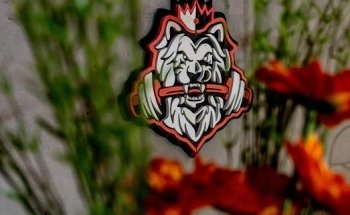 Trainer Center All Stars