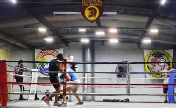 La Cultura del Barrio