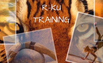 R-Ku training