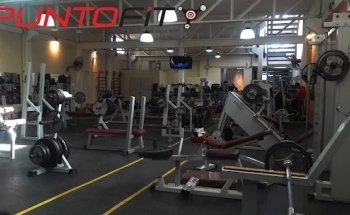 Punto Fit