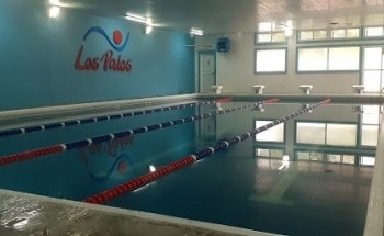 Natatorio Climatizado 