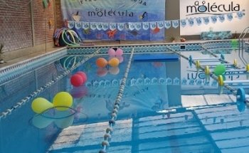 Molecula Deporte y Salud