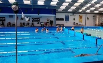 Natatorio Climatizado Defensores de Banfield