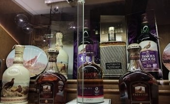 Natación Terapéutica