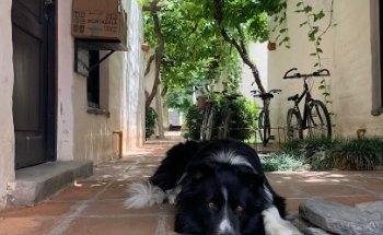 Cabañas Yamasu Huasi