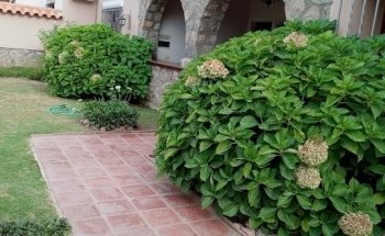 Casa del Sol Cafayate Hotel