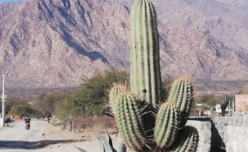 Vertientes Cafayate Club de Campo