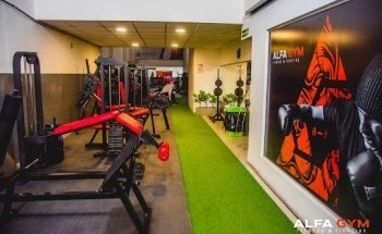 Alfa Gym - Fitness & Fighting