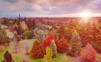 Las Cortaderas, Club de Campo