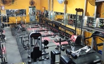Universal Gym