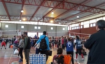 Polideportivo Municipal 