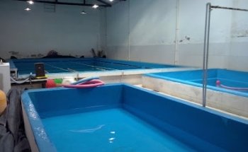 Centro de Actividades Acuáticas Jorge Salim