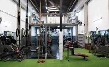 Gimnasio Kinexis