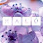 Kalú Pilates y Estética