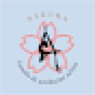 Sakura Escuela de Acrobacias Aéreas