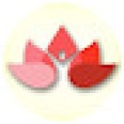 Mc pilates Reformers & Fitness