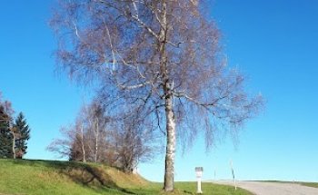 Eggergut die Starkmacher