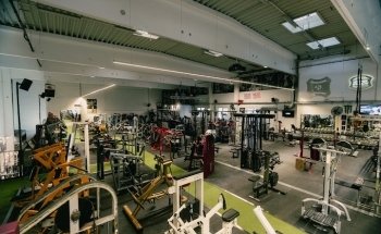 DAS GYM. - Intelligent Strength