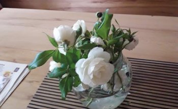 Institut f Raja Yoga - Brahma Kumaris