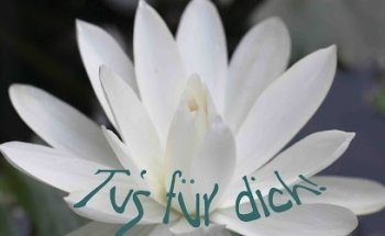 asana Yoga für s'ICH