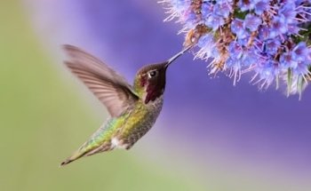 Yogatime Sabine Schutting