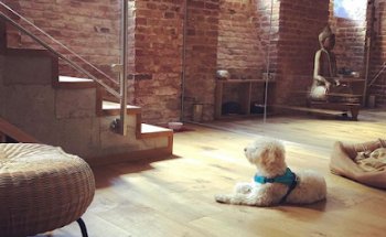 MAVIE YOGA CLUB WIEN