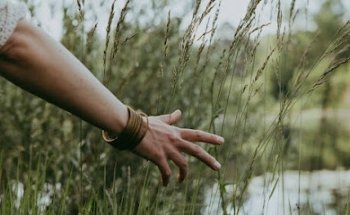 BE IN TOUCH | Somatic Coaching | Yoga