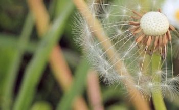 Vini Yoga Vorarlberg