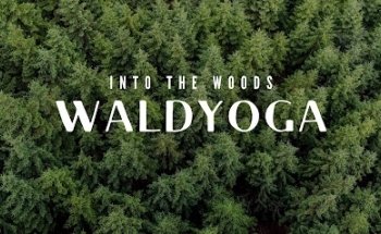 Waldyoga Dornbirn
