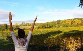 SoY - Spirit of Yoga