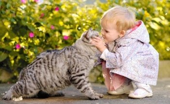 Schule und Institut Heilsame Berührung Sigi Mitterfellner