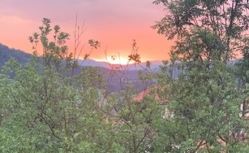 yogame - Yoga- und Meditationszentrum