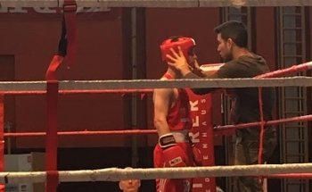 Boxclub Wels/Boxen Wels