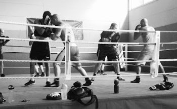 Boxclub Boxerschmiede